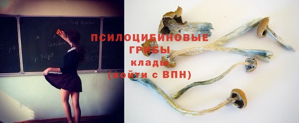 mdpv Надым