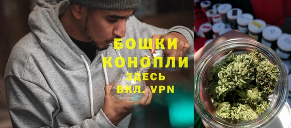прущие грибы Навашино