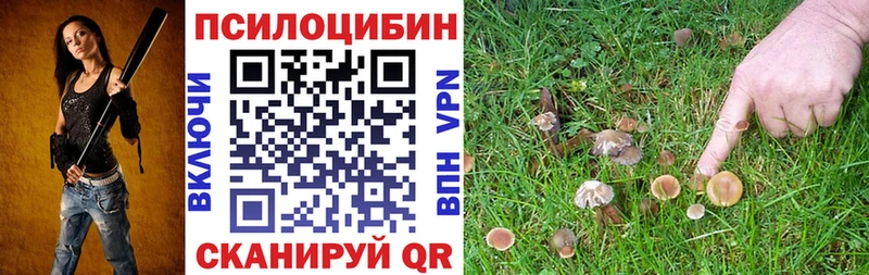 Купить  Радужный  Псилоцибиновые грибы Cubensis 